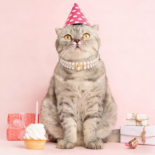 Image of HOWWFALY Dog Cat Pearl Collars with Spider Crystal Rhinestone PU Leather Collars Necklace Adjustable Collar Dog Chain Cat White Pearl Pet Collar for Small Medium Pets