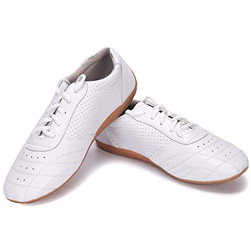 RUIMI Tai Chi Chaussures Martial Wudang Kung Fu Chaussures Shaolin Qi Gong Wing Chun Les Chaussures avec Caoutchouc Classique Semelle Oxford pour Hommes Et FemmesWHITE-43