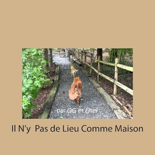 Il N'y Pas de Lieu Comme Maison (French Edition)