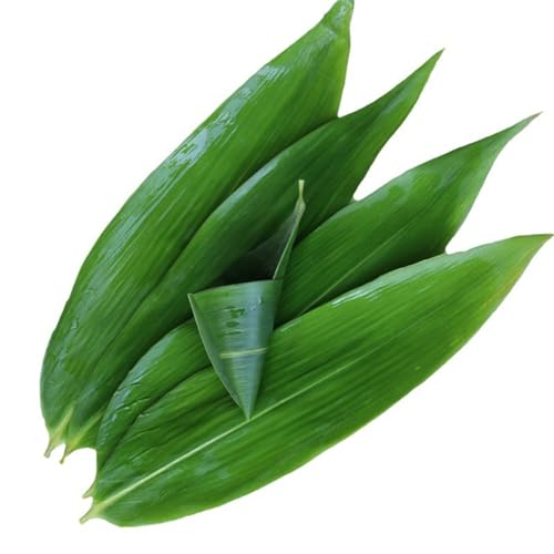 AQUGOO 100 Pcs Fresh Bamboo Leaf Sushi Plate, 12 * 3-inch Large Size Sushi Mats, Chinese Dragon Boat Festival Snacks Wrapped in Leaves Party Leaf Plate Decor (32 * 8cm)