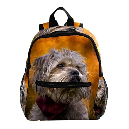Sac à dos enfants anti-fatigue de 30.5 cm avec sangles ajustables et toile renforcée