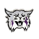 Pin by Fan Frenzy Gifts | Officially Licensed University Sports Lapel Pin | Enamel Lapel or Hat Pins for Men, (Weber State University)