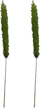 2Pcs Foxtail Fern Myers Artificial Greenery Stem 33.4In Fake Long Asparagus Branch for for Home Party Hotel Table Centerpieces Floral Arrangement Decoration