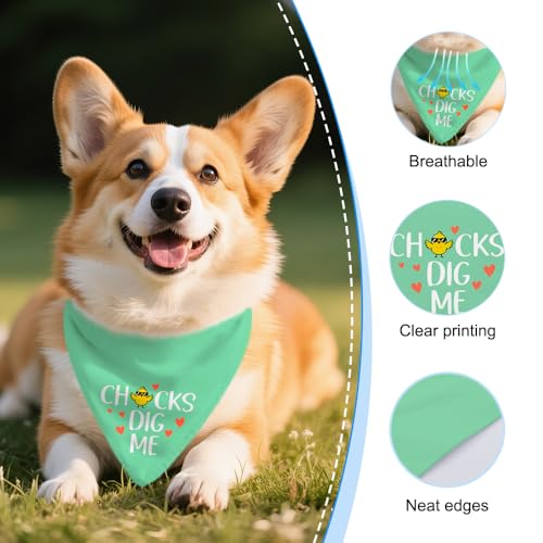 Vgrti Chicks Dig Me Funny Dog Bandana, Cute Chick Rabbit Pet Scarf for Small Medium Dogs Girl Boy Pets, Green Spring Summer Puppy Accessories, Birthday Gifts for Dog Lovers Mom Dad by Vgrti - Used condition - Image 3
