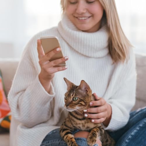 No Sweat Vet: Making Veterinary Education Accessible, One Reel at a Time Podcast Por  arte de portada