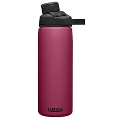 Chute Mag Vacuum Insulated Stainless Steel Water Bottle - 20oz Plum