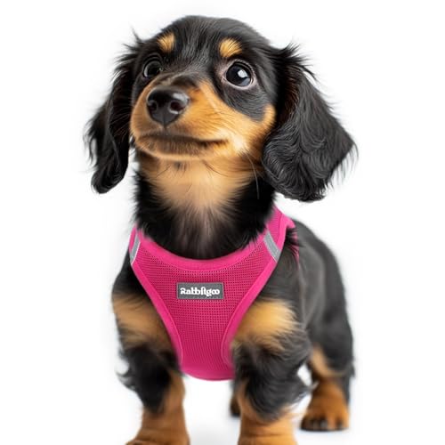 rabbitgoo Small Dog Harness, Step-in Soft Mesh Puppy Vest with Safety Buckle, Breathable Reflective Pet Harness for Extra Small Dogs, Rose Red XXS