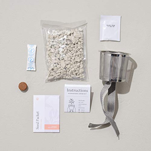 Modern Sprout Terracotta Grow Kit, Indoor Garden Kit, Healing Aloe + Desert Rose Bonsai + Prickly Pear Cactus, 3 Count #TOP4