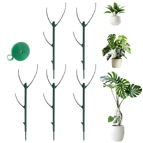 2025 New Garden Plant Support Stakes, Green Half Round Plant Support Rings Plant Holder Stick Moss Pole, Upgrade Stackable Monstera Plant Support Climbing Plant Support Structures (5, Green)