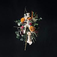 Algopix Similar Product 3 - Graves Into Gardens (Live)