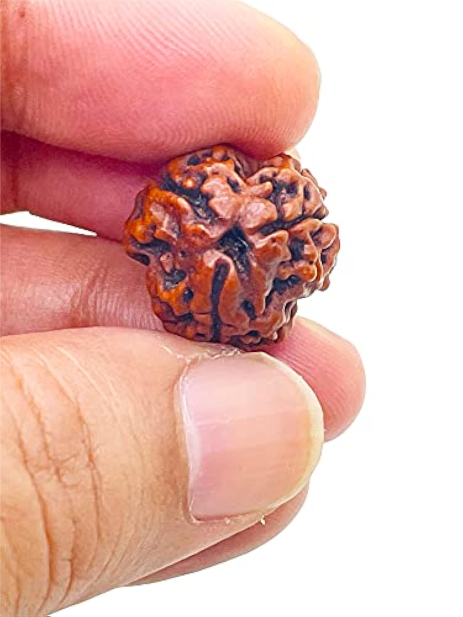 Three Mukhi Rudraksha Silver Pendant, Lab Certified