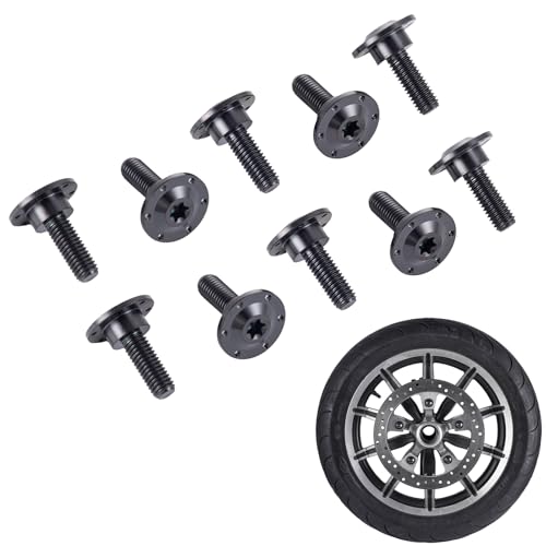 10 Pcs Brake Rotor Hardware for Harley, Titanium Front Brake Disc Rotor Hardware Bolts, Performance Brake Rotor Screws Fit For 2008-2023 Harley Touring Road Glide, Street Glide. (Black)
