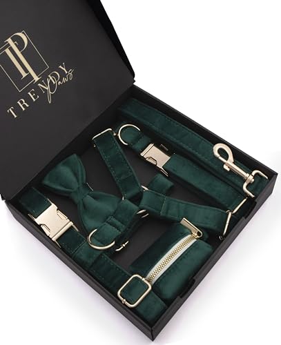 O[xxbghbOZbgA킢ցA`FXgn[lXA[Vt̍؂Ȉߑ-AA^pɎdĂAX^CbVȒlN^CƔrIȌ̂񂿃obO(M)tĂ܂B