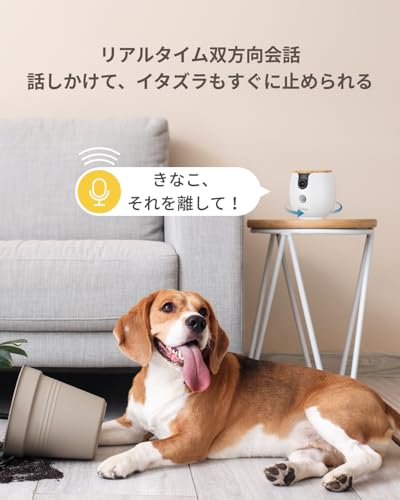 Furboミニ 360°ビュー