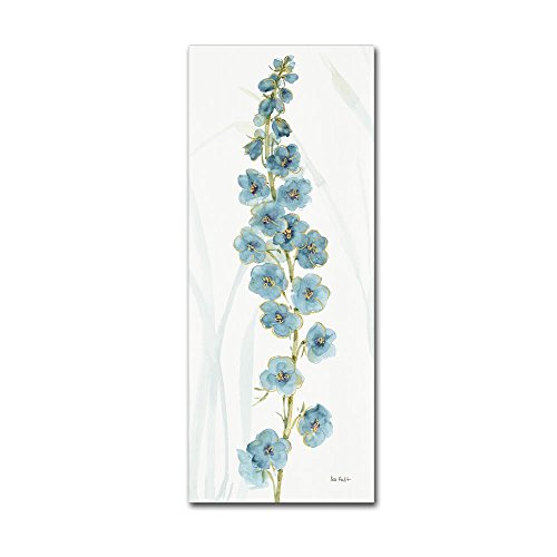 Rainbow Seeds Flowers VI by Lisa Audit, 8x19-Inch Canvas Wall Art