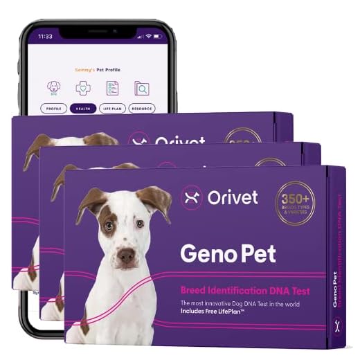 3 Pack Orivet Dog DNA Test | Genopet Dog Breed Test Kit, Genetic Testing, Heritable Health Risks and Life Plan