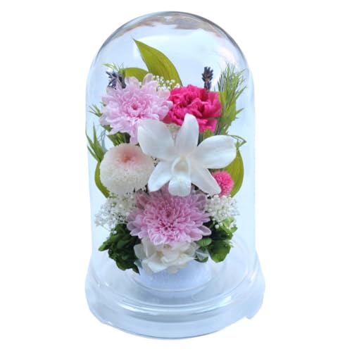  vU[uht[    ފ d ͂Ȃ     ~ V~ ~ ފ ybguU[ht[ ԃh[ ( --)