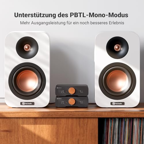 Fosi Audio ZA3 Stereo/Mono HiFi Verstärker mit TPA3255 Chips, Ausgewogenen XLR-RCA-Eingängen und 12V Trigger-In, Mini Verstärker Audio Monoblock für Desktop-Regallautsprecher und Subwoofer