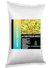 Evergreen Farm and Garden White Proso Millet Field & Bird Seed (50 Lbs)