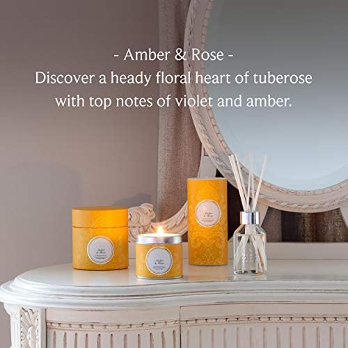 Shearer Candles Amber and Rose Scented Jar Candle with Silver Lid - Yellow,Yellow