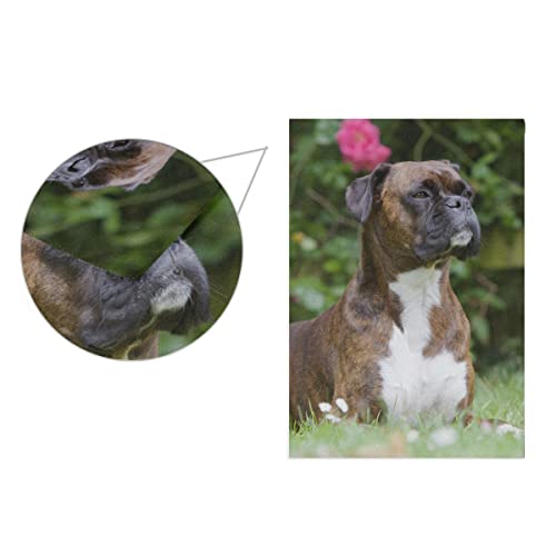 Hokkien Dog Portrait Brown Boxer Garden Flag Banner 12 X 18 Inch Decorative Garden Flag For Outdoor Lawn And Garden Home Décor Double-Sided #TOP2