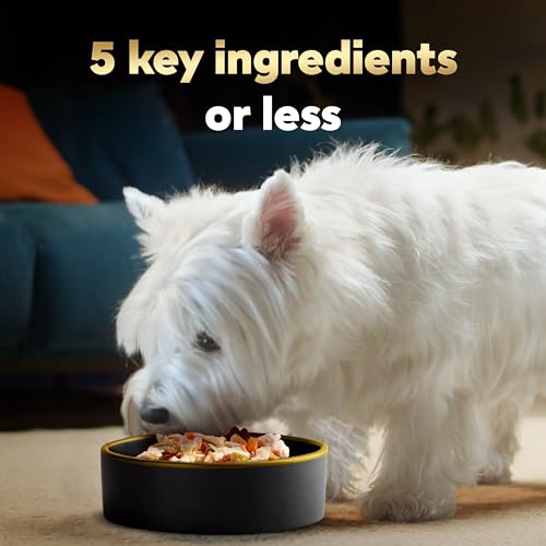 Image of Cesar Simply Crafted Wet Dog Food Toppers, Chicken, 1.3 oz, 24 Count | Real chicken #1 ingredient, no by-products or artificial flavors, slow-cooked, natural ingredients, single-serve tubs