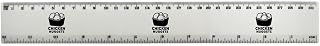 Azeeda 'Chicken Nuggets' 30cm (12 Inch) White Plastic Ruler (RL00098780)