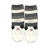 靴下 キッズ モール ルームソックス ハリネズミ インコ パグ ゴリラ 19-22cm ゆうパケット3点まで可