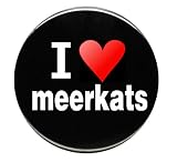 I Love Meerkats Button