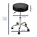 Home Office Adjustable Rolling Medical Massage Swivel Stool Chair Tattoo Facial Massage Salon Stools, Black, Set of 2
