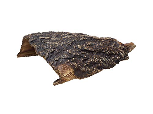 Plecoceramics Aquarium Cave - Ceramic Betta Fish Tank Decor - Natural Aquarium Decor - Large Reptile Hide - Fish cave Hideout - Snake Hide - Cave for Cichlids and plecos (Cave) by Plecoceramics - Used condition - US$20.89