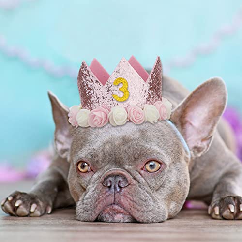 Cieher Dog Birthday Party Supplies, Dog Birthday Hat + Bow Tie + Pink Tutu Skirt Dog Party Decorations, Dog Birthday Hat With Numbers Cat Dog Puppy Birthday Bandana Scarf Hat Bow Set (Pink) #TOP4