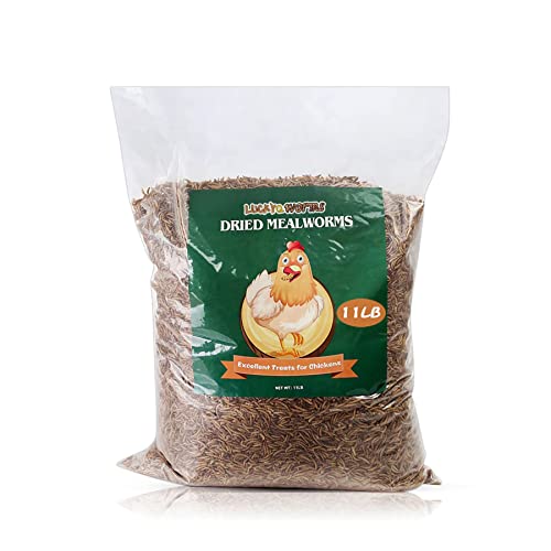 LuckyQworms Bulk Mealworms 11Lbs, High-Protein Dried Mealworms, 100% Non-GMO Mealworm Treats for Birds, Chickens, Turtles, Fish, Hamsters and Hedgehogs All Natural Animal Feed