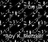 Ray K. Metzker: City Lux