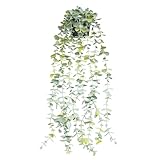 Tyanlenr Künstliche Pflanze Hängend Eukalyptus 22 Inch, Kunststoff Hängepflanze Künstlich mit Topf, Eukalyptus Pflanzen Deko für Zuhause, Büro, Veranda, Wand, Innenbereich, Außenbereich
