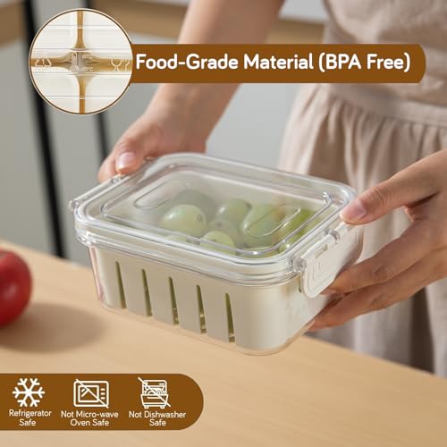 Image of HOKIPO Fridge Storage Containers - BPA Free Food Grade Plastic Organizers for Refrigerator & Freezer | Vegetable Crisper Box & Kitchen Storage Set (AR-6099)