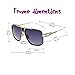 Gobiger Aviator Sunglasses for Men 100% UV Protection Goggle Alloy Frame with Case…