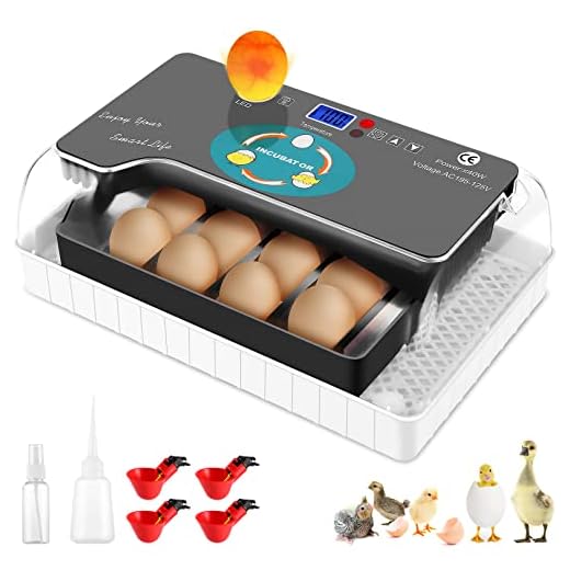 Incubatrice automatica a 12 uova Incubatrici con illuminazione a LED con display digitale e controllo della temperatura efficiente e intelligente