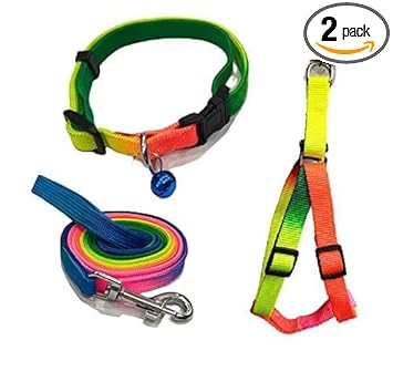 Dog Trust Colourful Adjustable Nylon Puppy Leash Harness and Collar Combo, Suitable for Puppy 15 mm Multicolor (Collar + Harness + Leash) 04