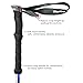 Sterling Endurance Trekking Poles/Collapsible to 13 1/2