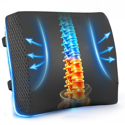 Lumbar Support Pillow for Car: Ergonomic Memory Foam Lumbar Pillow for Long Drives, Lower Back Support for Pain Relief, Dual Adjustable Straps, Back Cushion for Car Seat, Office Chair - Black