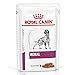 Royal Canin Veterinary Renal | 12 x 100 g | Diät-Alleinfuttermittel für ausgewachsene Hunde | Zur Unterstützung der Nierenfunktion | Mit schmackhaften Stückchen in Soße