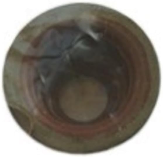 2 Pack Valve Stem Seal for R SU EH12 ER12 EX17 EX13 EX21 Engine Motor Water Pump Replacement