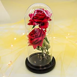 Beauty and The Beast Rose, Forever Rose with Led Light in Glass Dome for Valentine’s Day Mothers Day Wedding Anniversary (Upgraded Version-Two Roses