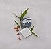 Ethique Sans Unscented Deodorant Bar for Men & Women - Aluminum-Free, Plastic-Free, Vegan, Cruelty-Free, Eco-Friendly, 2.47 oz (Pack of 1)