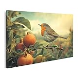 islandburner Bild auf Leinwand Rotkehlchen auf einem 