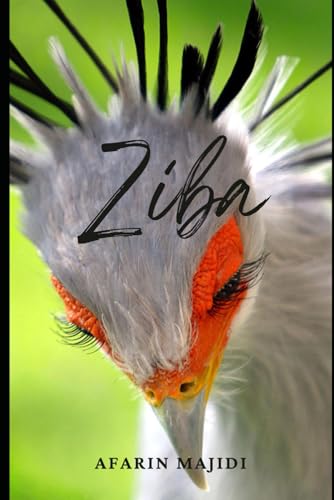 Ziba: A Novel Set During the Islamic Revolution in Iran