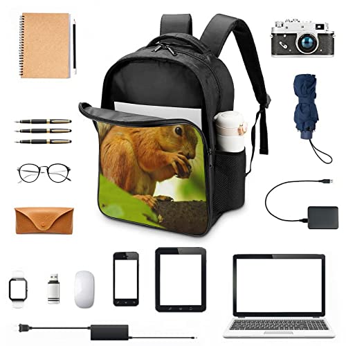 Sac à dos d'école écureuil 3D pour enfants : cartable mixte 40x28x16cm - 3