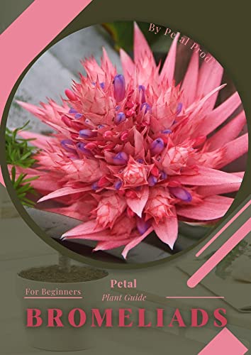 Bromeliads: Prodigy Petal, Plant Guide