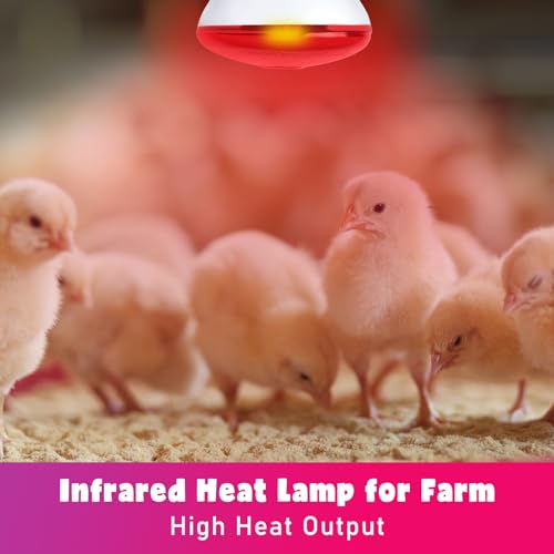 image for LUCKY HERP Infrared Heat Lamp for Chickens, 250 Watt Red Heat Lamp Bul